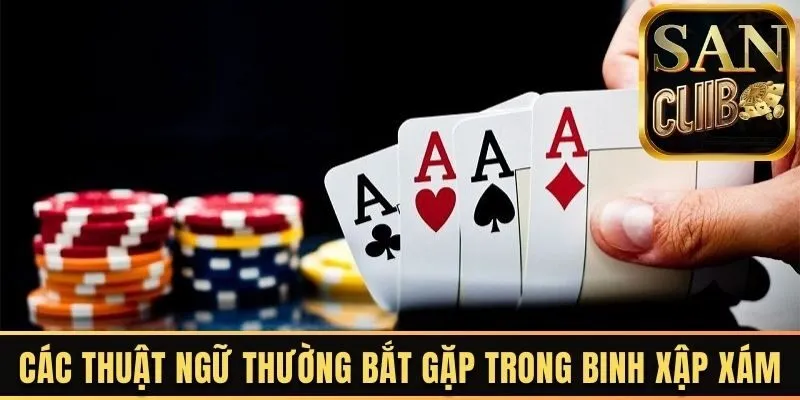 Các thuật ngữ thường bắt gặp nhất trong binh xập xám 