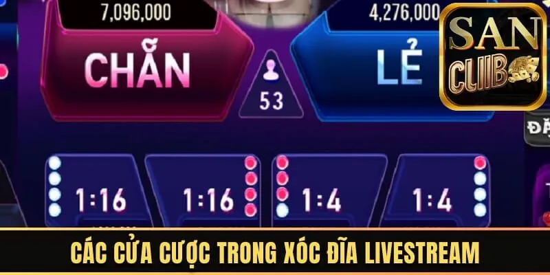 Giới thiệu cửa cược trong Xóc Đĩa Livestream Sanclub