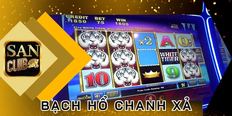 Bí kíp chinh phục bạch Hổ chanh xả