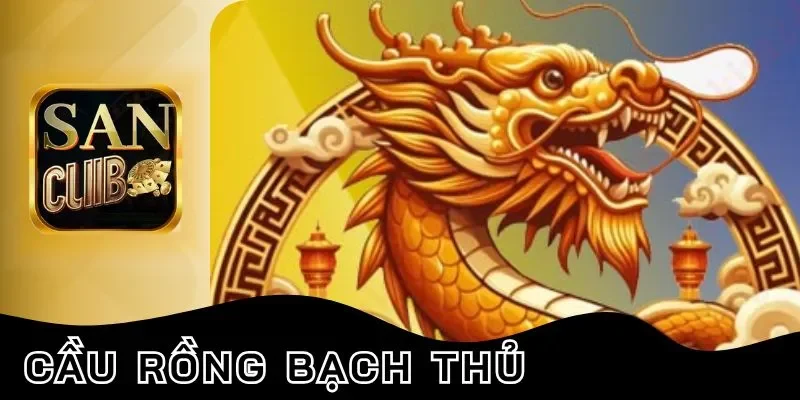 Các phần mềm dự đoán cầu rồng bạch thủ
